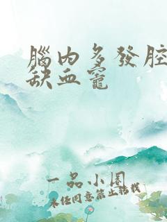 脑内多发腔隙性缺血灶