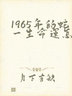 1965年的蛇一生命运怎样