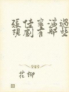 张佳宁演过的电视剧有哪些