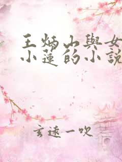 王炳山与女儿王小莲的小说