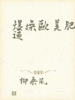 爆操欧美肥熟女逼