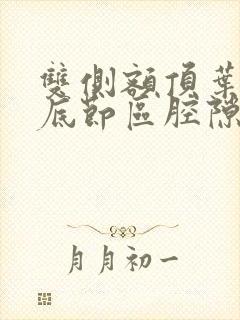 双侧额顶叶及基底节区腔隙性梗死