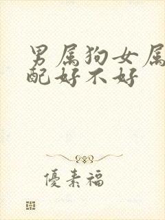 男属狗女属鼠婚配好不好