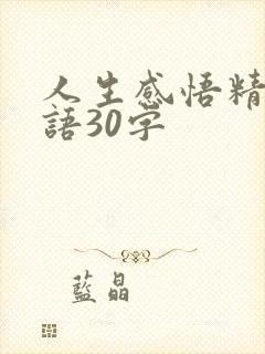 人生感悟精辟短语30字