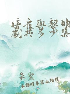 暗夜与黎明电视剧共多少集