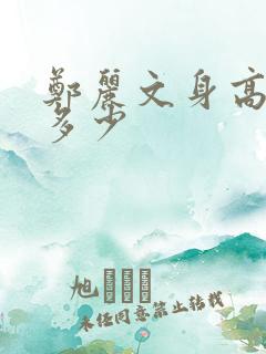 郑丽文身高体重多少