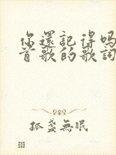 你还记得吗是哪首歌的歌词