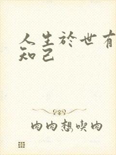 人生于世有几个知己