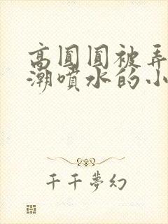 高圆圆被弄到高潮喷水的小说