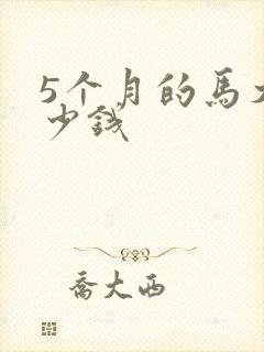 5个月的马犬多少钱