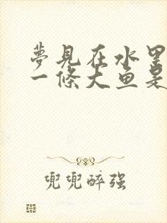 梦见在水里抓到一条大鱼是什么征兆