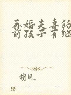 再婚夫妻的财产前孩子有继承权吗