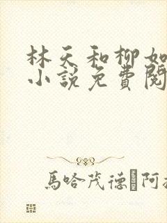 林天和柳如烟的小说免费阅读