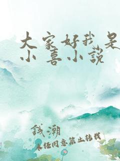 大家好我是叫林小 喜小说