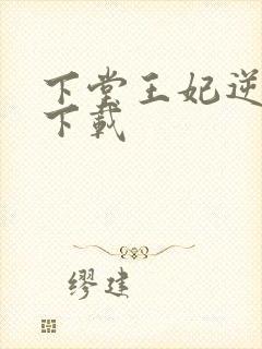 下堂王妃逆袭记下载