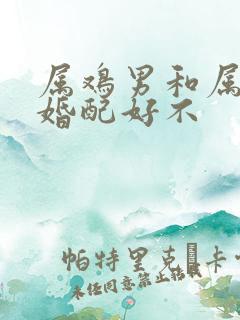 属鸡男和属兔女婚配好不