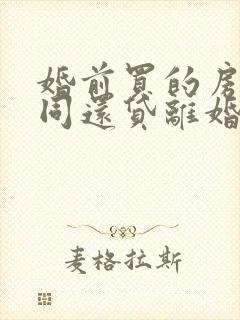 婚前买的房子共同还贷离婚怎么分