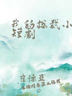 我的总裁小是姨短剧