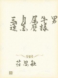 三月属牛男的命运怎么样