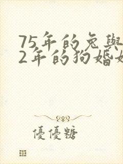 75年的兔与82年的狗婚姻怎么样