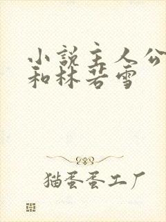 小说主人公苏晨和林若雪