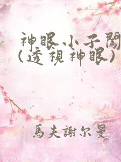 神眼小子闯都市(透视神眼)