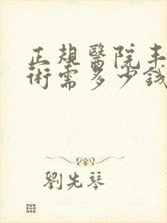 正规医院丰胸手术需多少钱