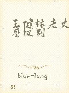 王健林老丈人什么级别