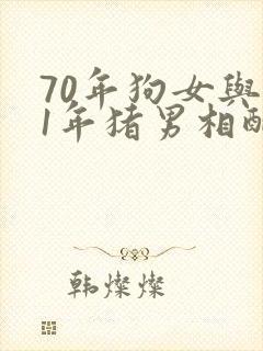 70年狗女与71年猪男相配咋样