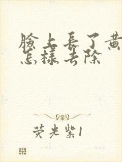 脸上长了黄褐斑怎样去除