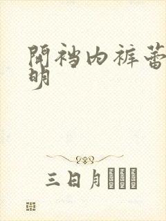 开裆内裤蕾丝透明