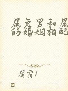 属兔男和属牛女的婚姻相配吗