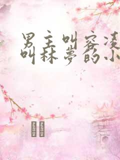 男主叫容凌女主叫林梦的小说