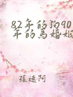 82年的狗90年的马婚姻