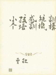 小孩感统训练哪个培训机构好