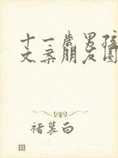 十一岁男孩生日文案朋友圈