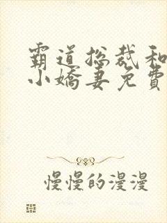 霸道总裁和他的小娇妻免费观看全集