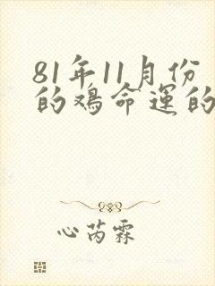 81年11月份的鸡命运的运气怎么样