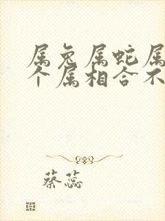 属兔属蛇属龙三个属相合不合财