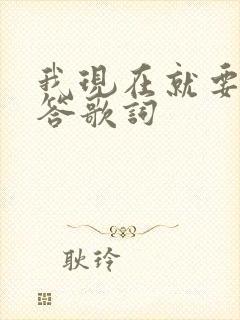 我现在就要你回答歌词