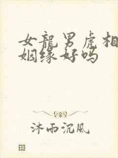 女龙男虎相配的姻缘好吗