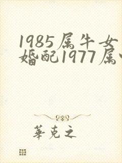 1985属牛女婚配1977属蛇男