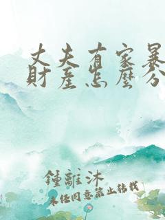 丈夫有家暴离婚财产怎么分