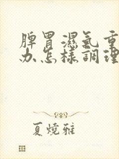 脾胃湿气重怎么办怎样调理