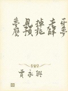 梦见掉老牙有什么预兆解梦