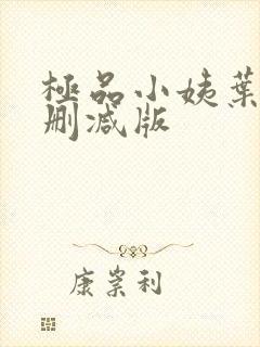 极品小姨叶凡无删减版