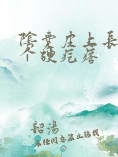 阴囊皮上长了一个硬疙瘩