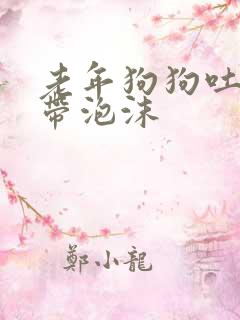 老年狗狗吐黄水带泡沫