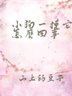 小狗一摸它就尿怎么回事