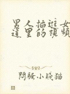 男人插进女人阴道里的视频